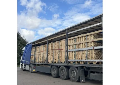 Produktansicht 1 zu Brennholz – LKW Brennholz Hainbuche Buche 22 Paletten ( 44 RM ) 25 / 33cm