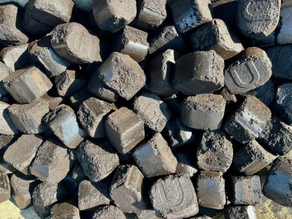 Briketts in ausgewählter Ausführung – 30 kg Braunkohlebriketts lose Kohlen Kaminbriketts Kohle – Produktansicht