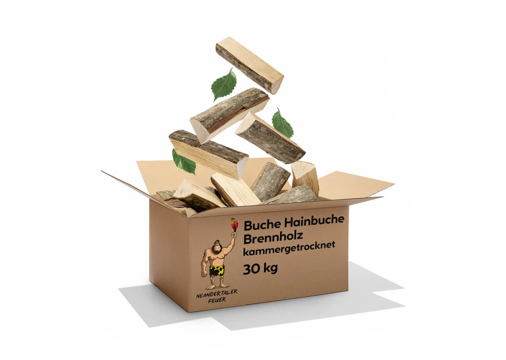 Produktansicht 1 zu Buche und Hainbuche-Brennholz – 300kg