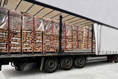 LKW, Ladung Brennholz, Hainbuche, 30/33 cm, kammergetrocknet, 1,8 RM Paletten, Ansicht 1