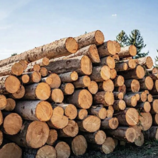 Stammholz Nadelholz – Flexible LKW‑Ladung 40 RM
