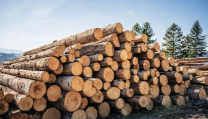 Stammholz Nadelholz – Flexible LKW‑Ladung 40 RM